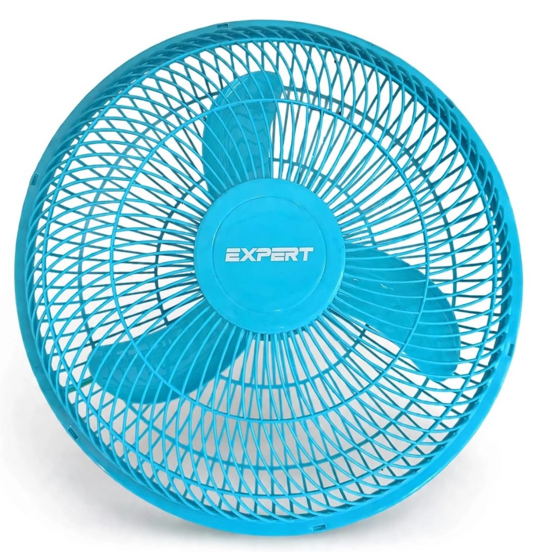16 Inch Plastic Net Fan Blue Color